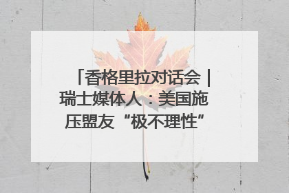 香格里拉对话会｜瑞士媒体人：美国施压盟友“极不理性” 欧洲国家无意与中国“脱钩断链”